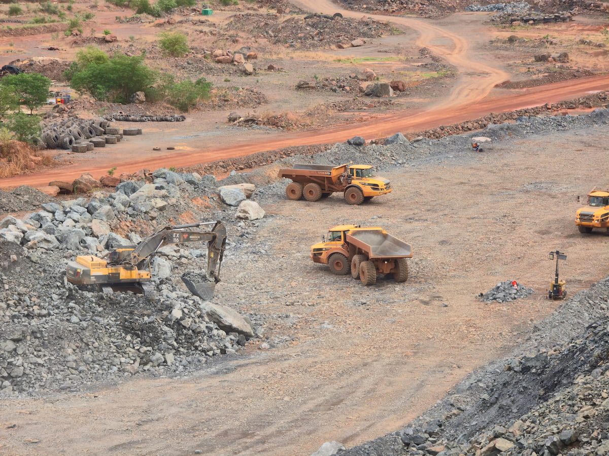 EcoTail project photo 5
